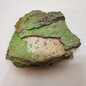 Medium Conichalcite Crystal Matrix 4.5x4x1 from Mexico